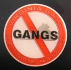 VGIA Lapel Pin